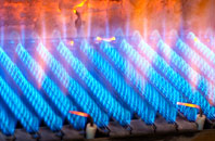 Bidden gas fired boilers